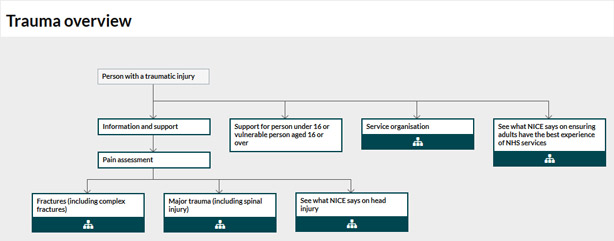 NICE Diagram: Trauma Overview