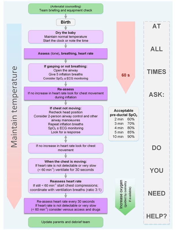 NLS Algorithm