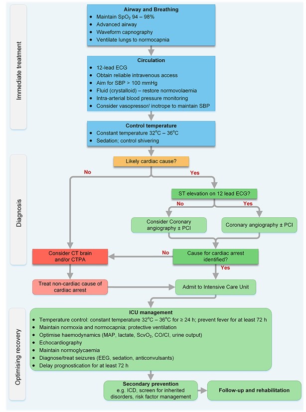 Post resuscitation care algorithm