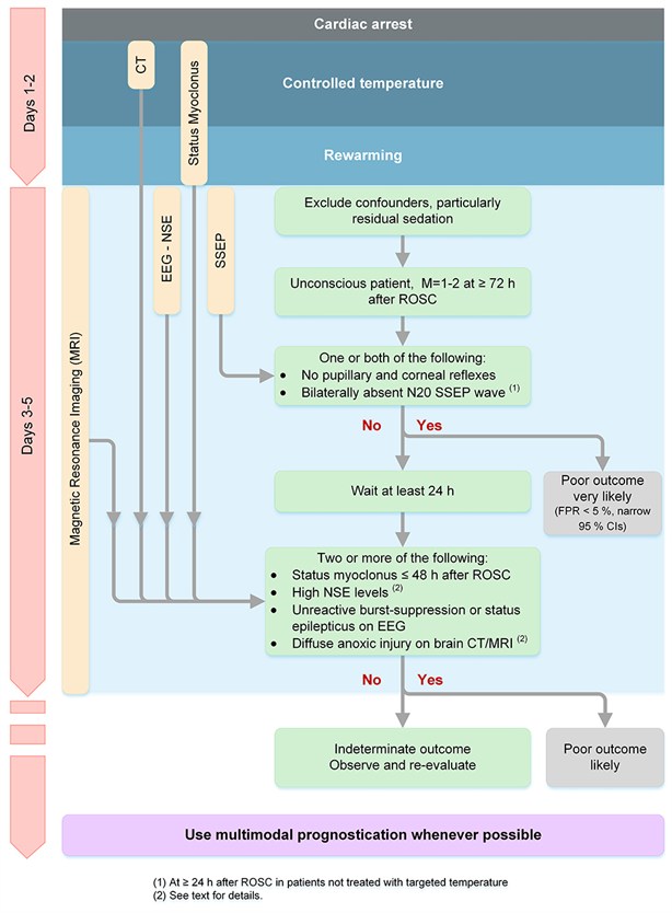 Post resuscitation care - prognostication strategy algorithm