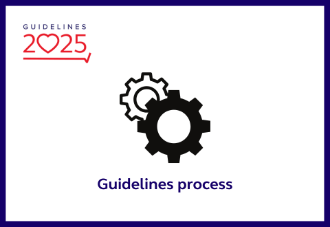 Guidelines process with cogs wheel graphics
