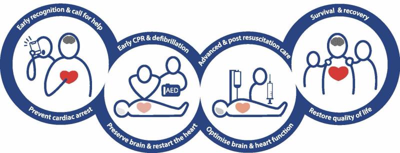 chain of survival shows four links: early recognition and call for help, early CPR and defibrillation, advanced and post resuscitation care, survival and recovery.