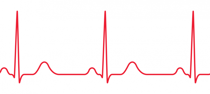 Red ECG on white background